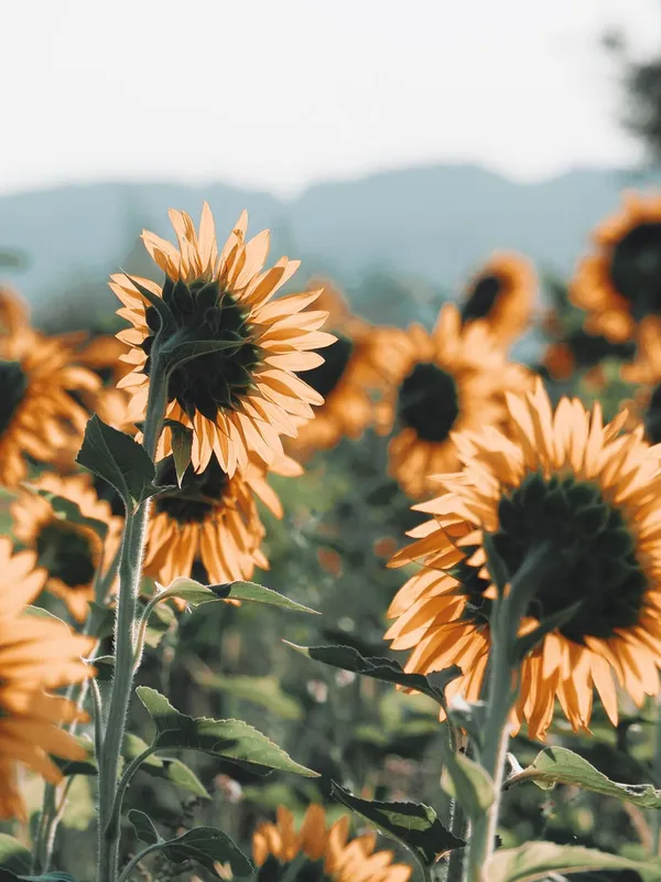Propriété gérée par la conciergerie dans le Gers