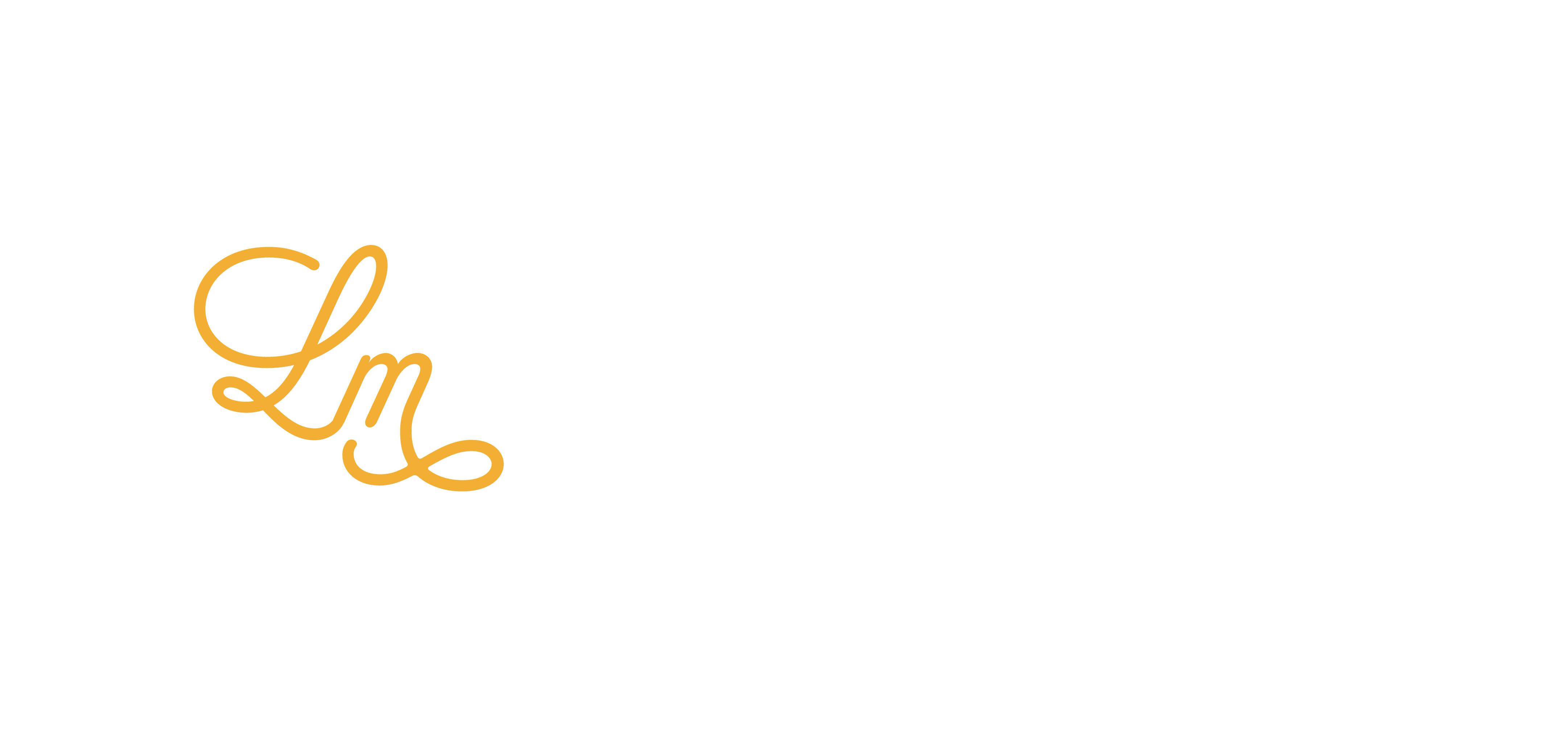 Logo LM Conseil & Conciergerie